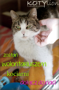wolokociarnia