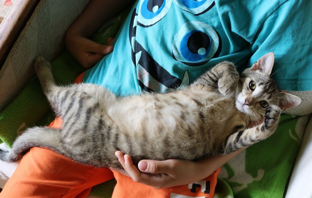 Adoptusie. Minnie i Michałek w Domu :)