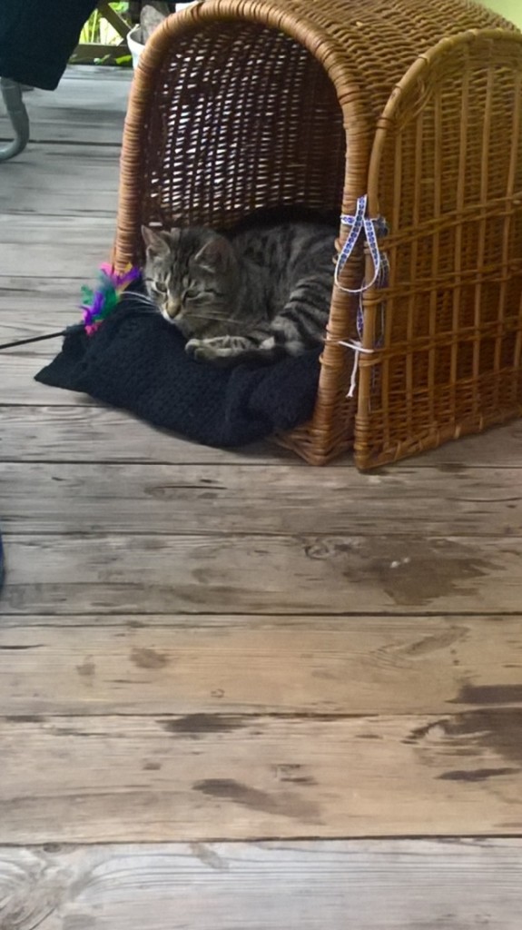 Klara - pojechała do domu :)