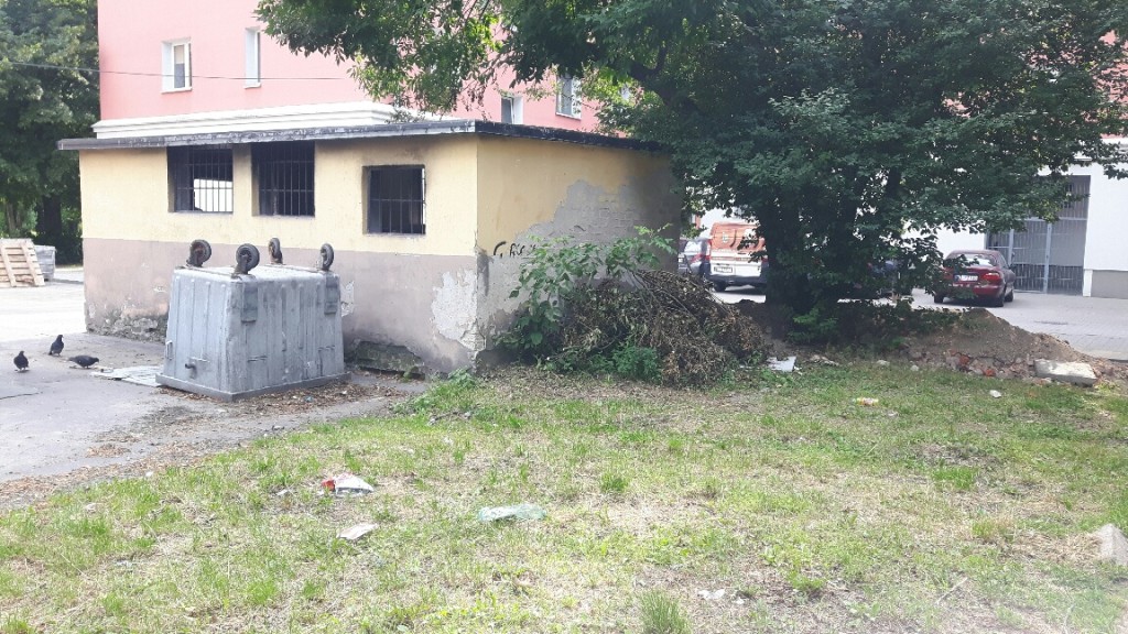 Rodzinka z gałęzi - mamusia wysterylizowana, kociaki w domach :-
