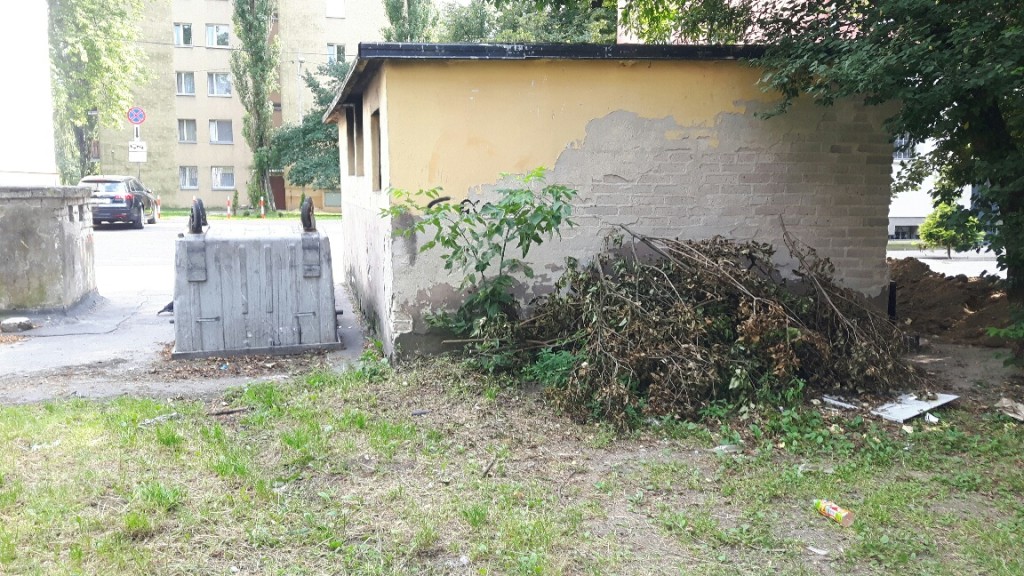 Rodzinka z gałęzi - mamusia wysterylizowana, kociaki w domach :-