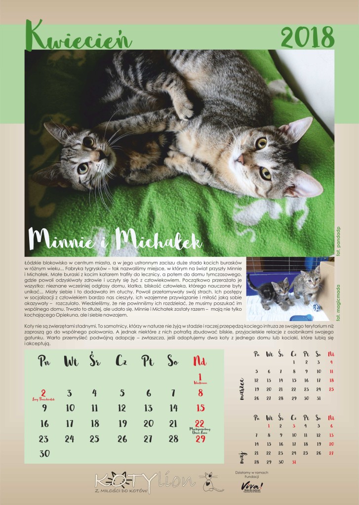Kalendarz Charytatywny 2018 – już jest !!!