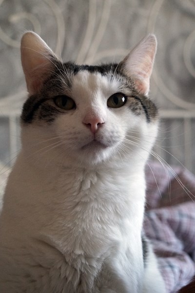 Adoptusie. Fin. W domu :)