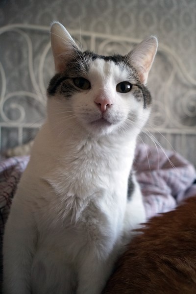 Adoptusie. Fin. W domu :)