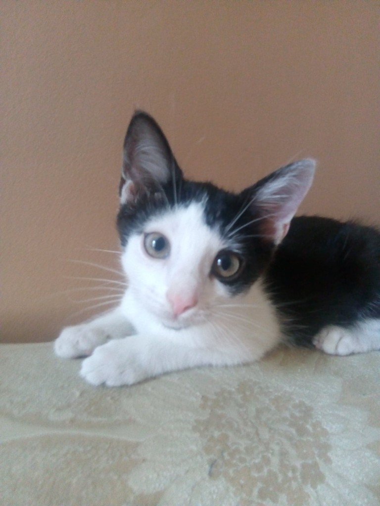 Mimi - w domu :)
