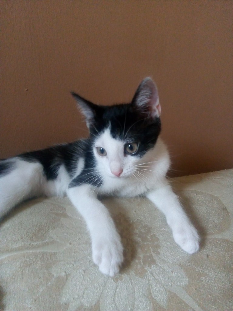 Mimi - w domu :)