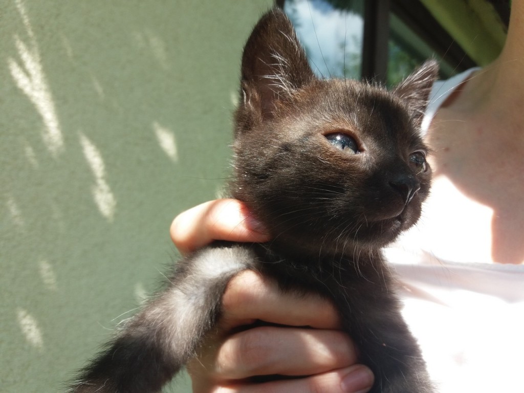 Adoptusie. Ida – odważna, ciekawa świata. Już w domu :)