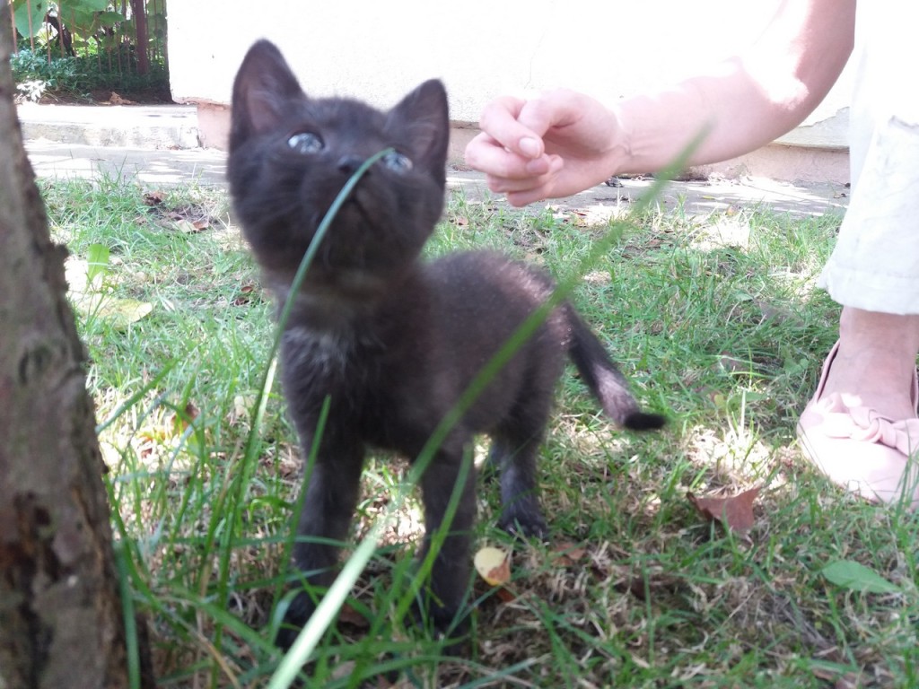 Adoptusie. Ida – odważna, ciekawa świata. Już w domu :)