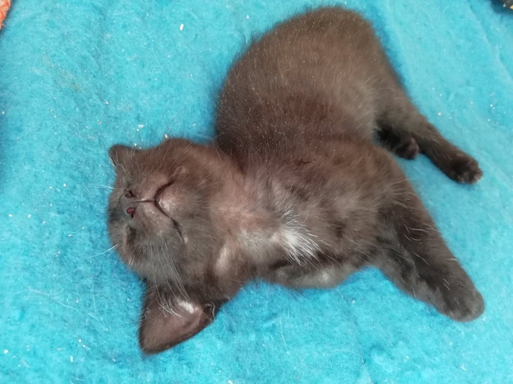 Adoptusie. Ida – odważna, ciekawa świata. Już w domu :)