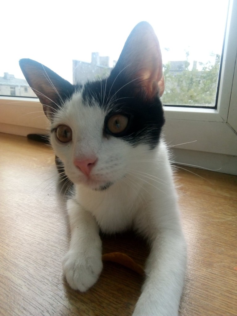 Mimi - w domu :)