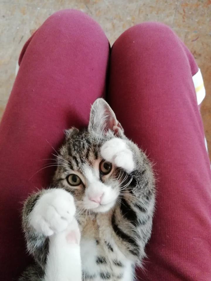 Pędzelek - w domu :)