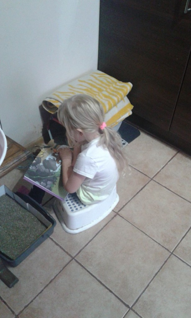 Felisia - w domu :)