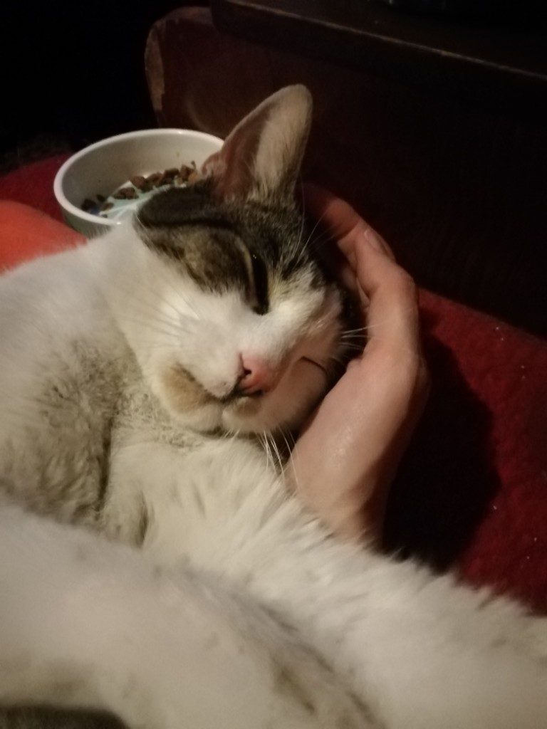 Olek nareszcie w domu :)