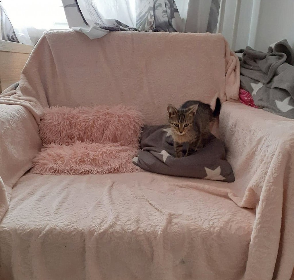 Adoptusie. Słodka Lilu. W domu :)