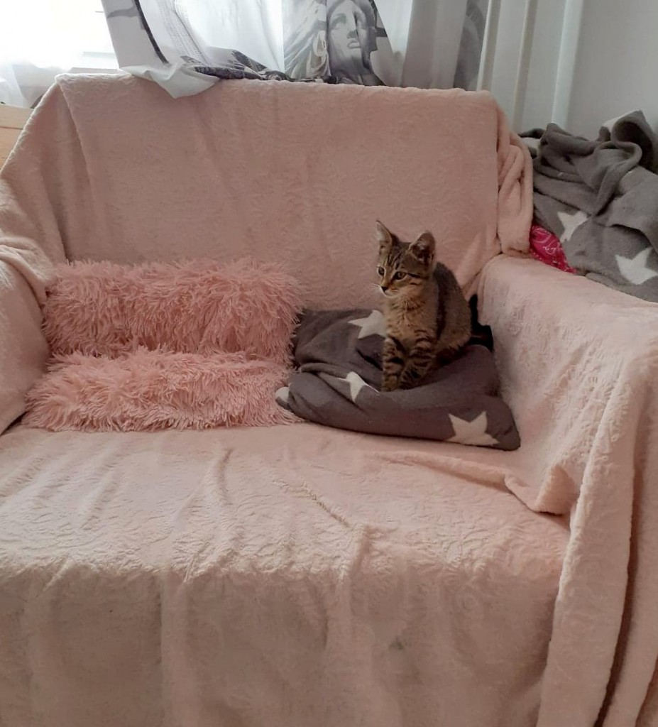 Adoptusie. Słodka Lilu. W domu :)