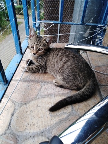 Adoptusie. Słodka Lilu. W domu :)