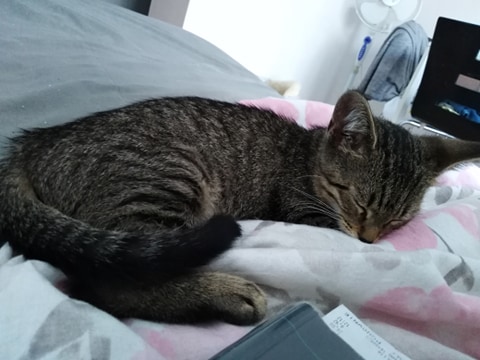 Adoptusie. Słodka Lilu. W domu :)