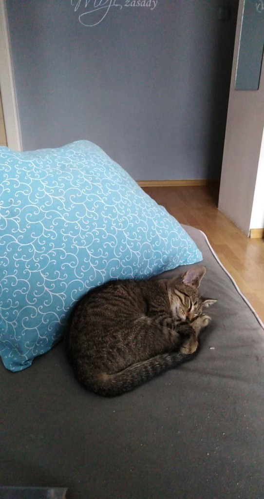 Adoptusie. Słodka Lilu. W domu :)