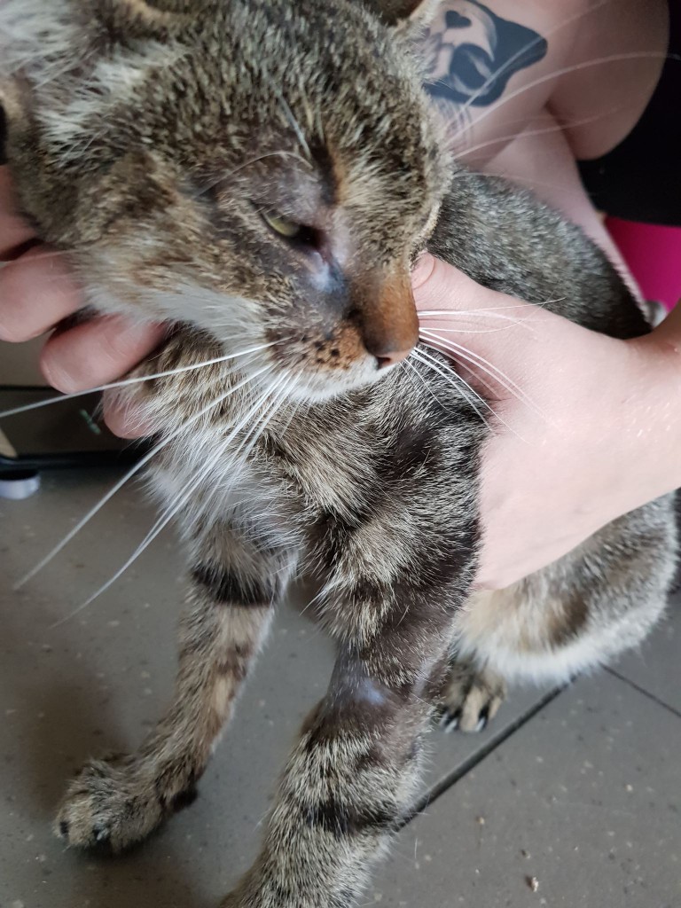 Mamusia burasia została Balbinką - adoptowana :)
