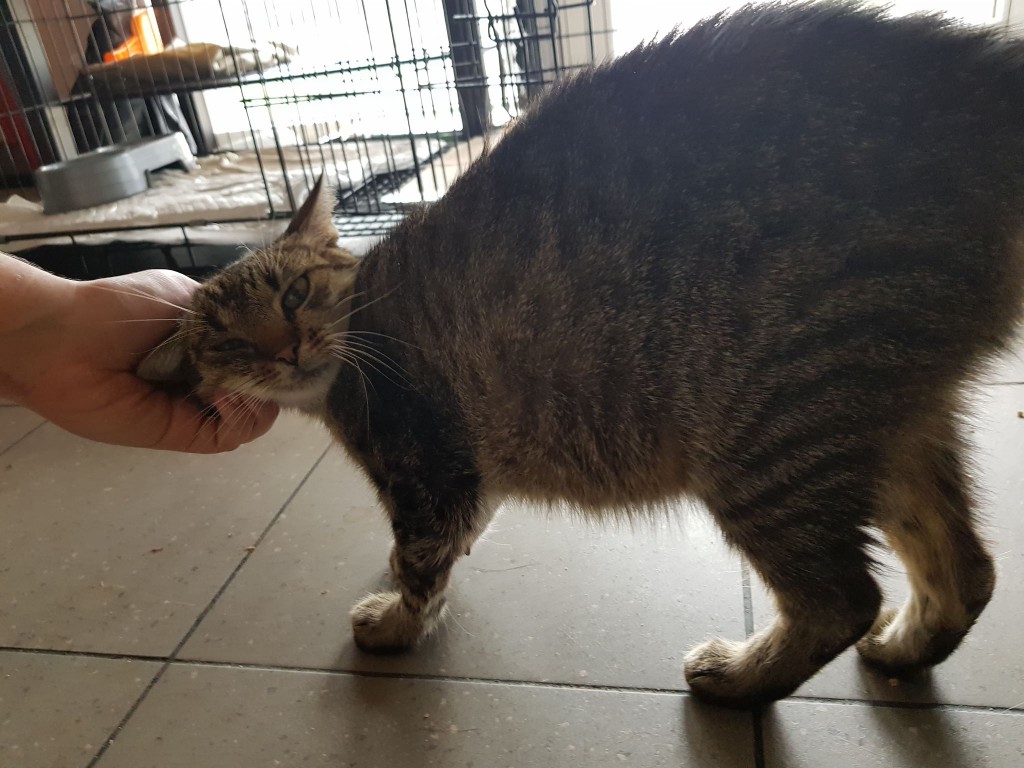 Mamusia burasia została Balbinką - adoptowana :)