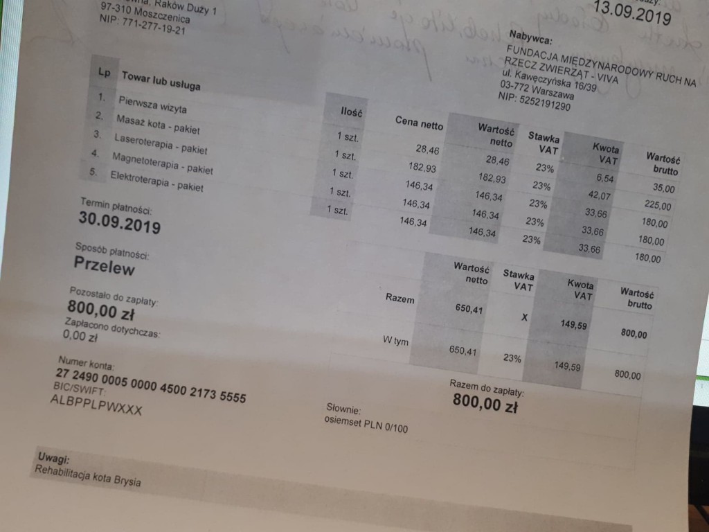 Bryś z bezwładną łapką - nowe życie :)