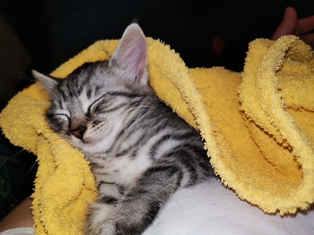 Mamusia burasia została Balbinką - adoptowana :)