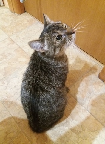 Mamusia burasia została Balbinką - adoptowana :)