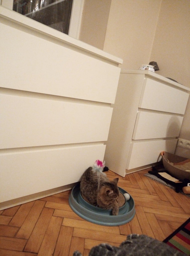 Zula – w swoim domu :)