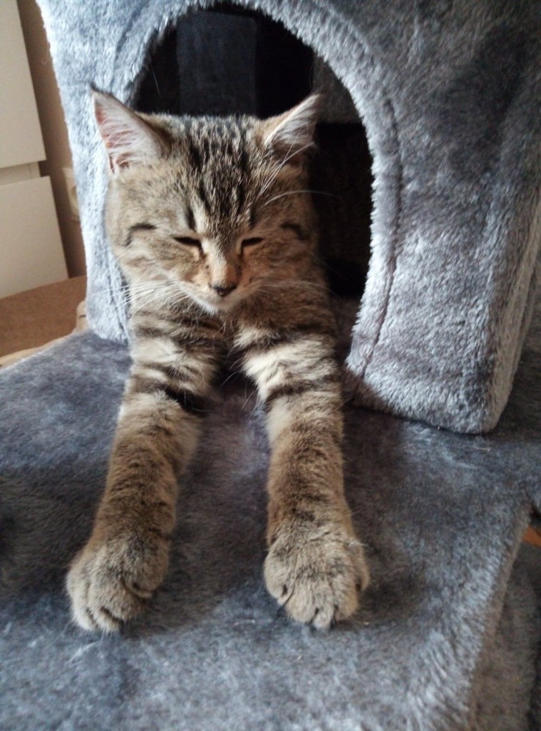 Zula – w swoim domu :)