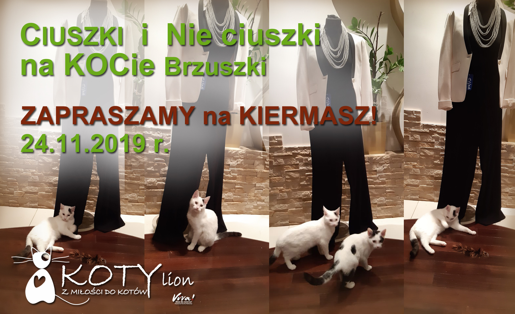 Ciuszki i nie ciuszki na kocie brzuszki - kiermasz Kotyliona