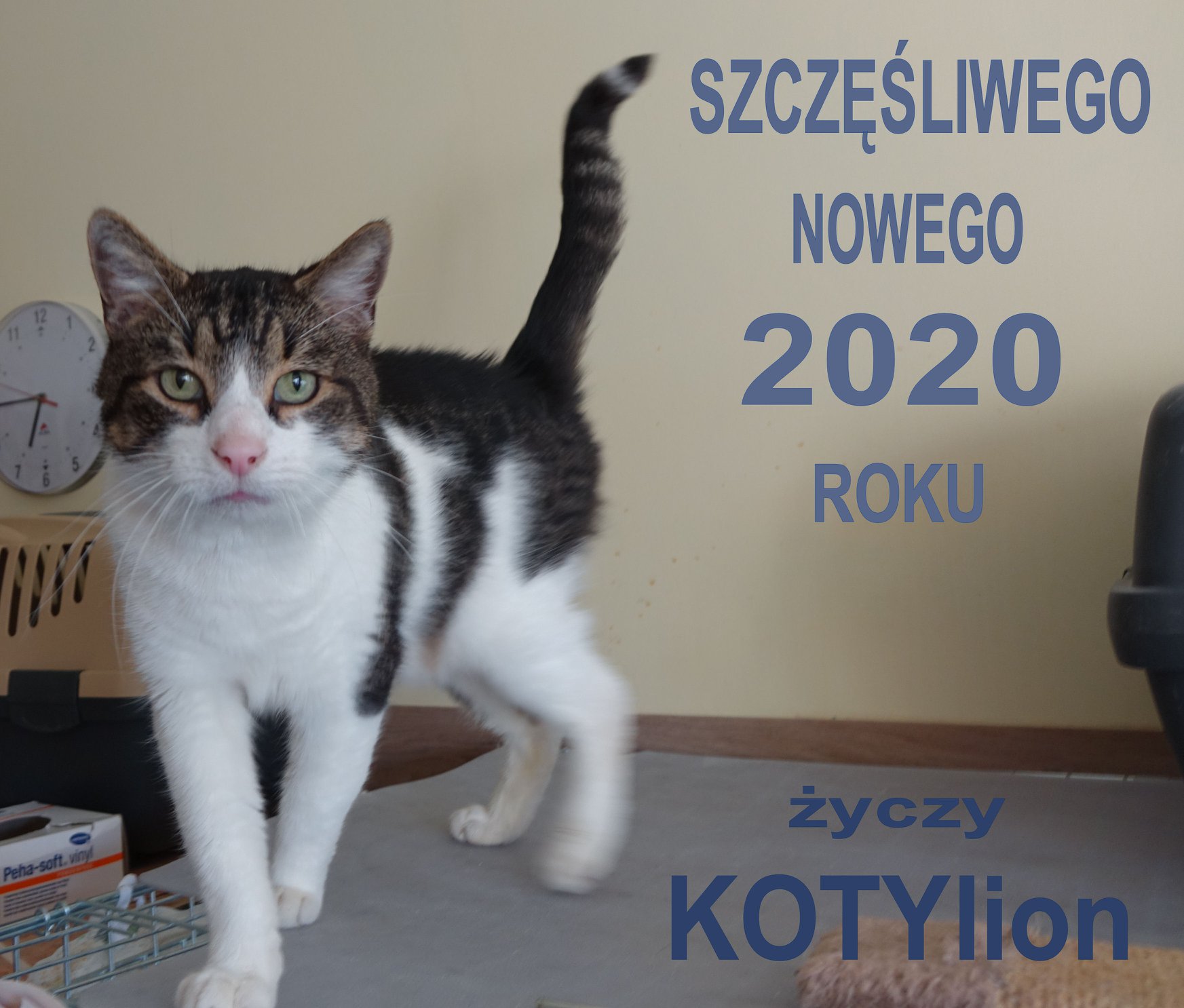 Szczęśliwego Nowego Roku!