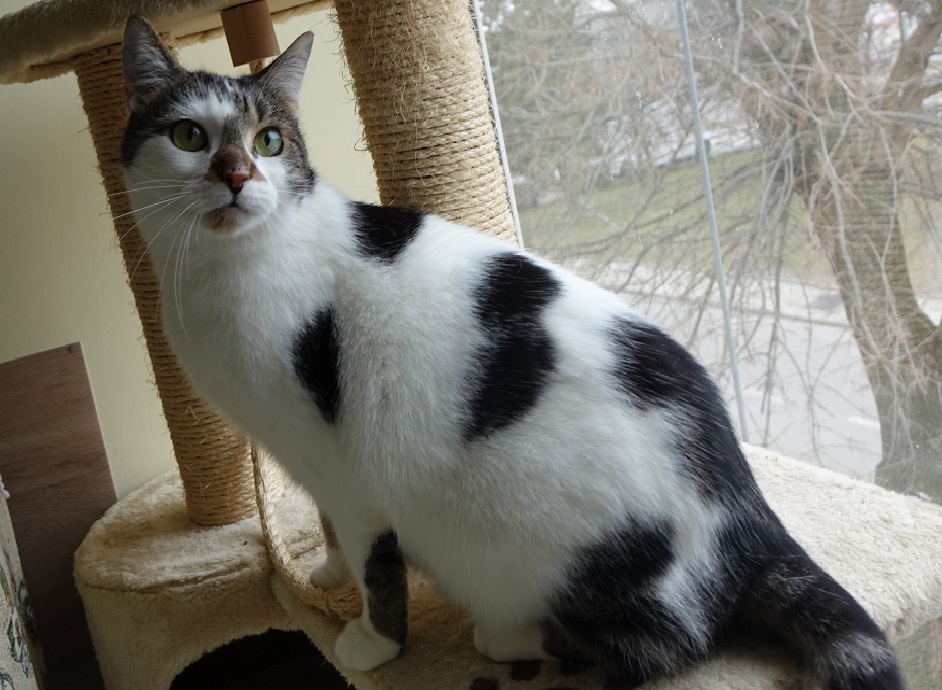 Adoptusie. Malutka - w domu :)