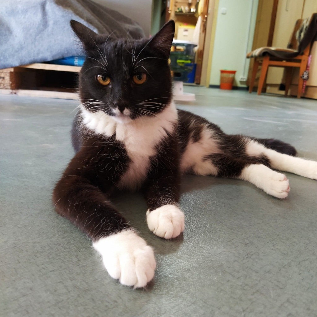 Adoptusie. Kacper i Baltazar - dwaj uroczy bracia. Adoptowani :)