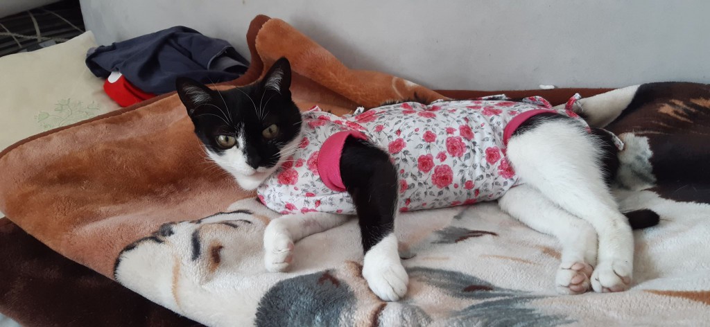 Fifi w końcu we własnym domu :)