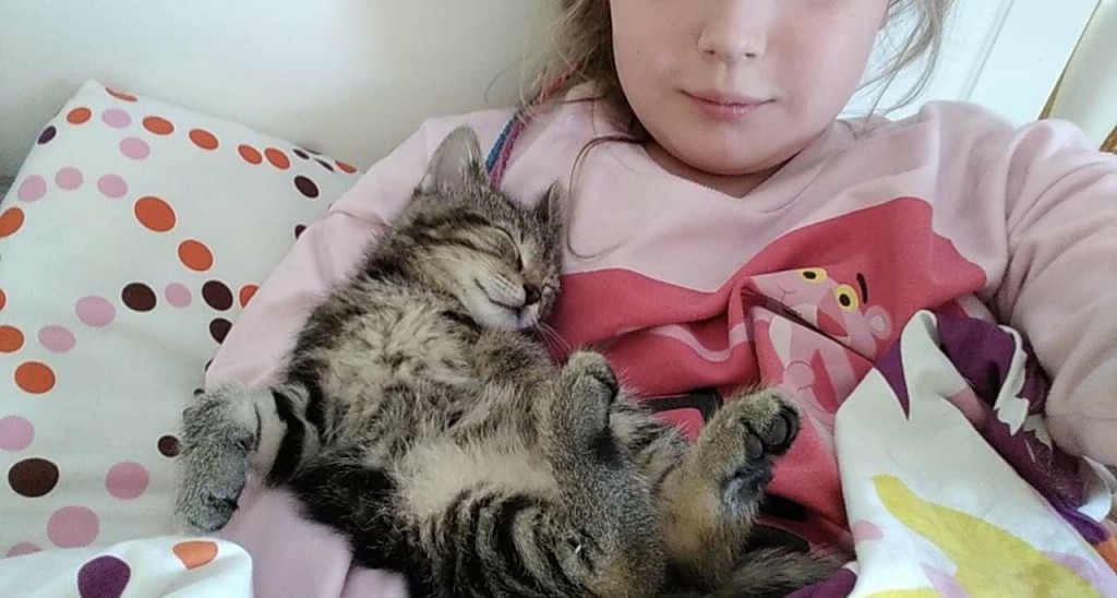 Zyzio - w domu :)
