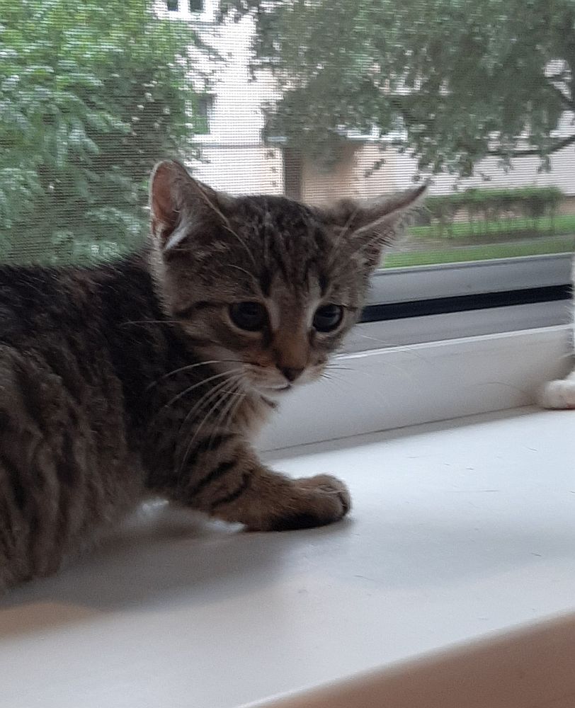 Ekipa z Sokolnik - szczęśliwe zakończenie
