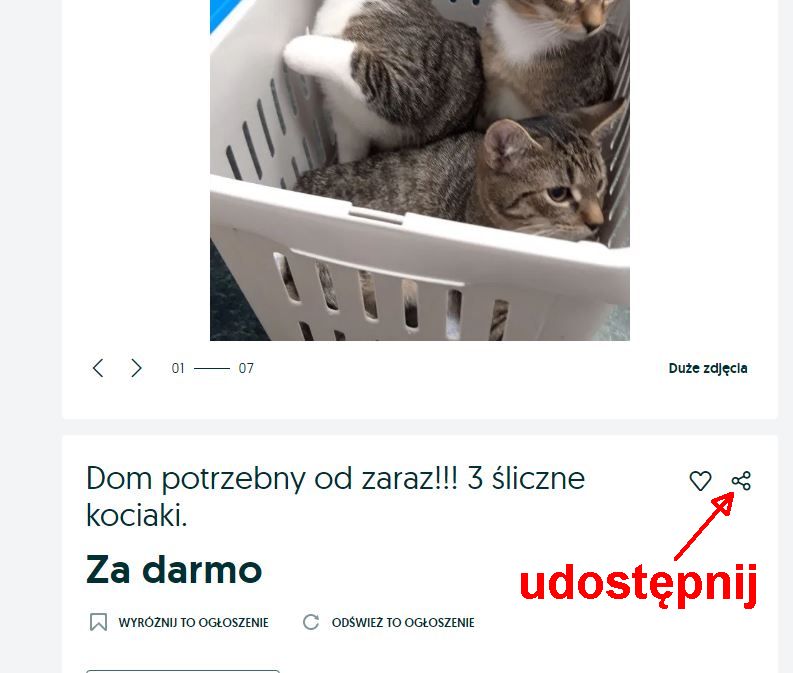 Ekipa z Sokolnik - szczęśliwe zakończenie