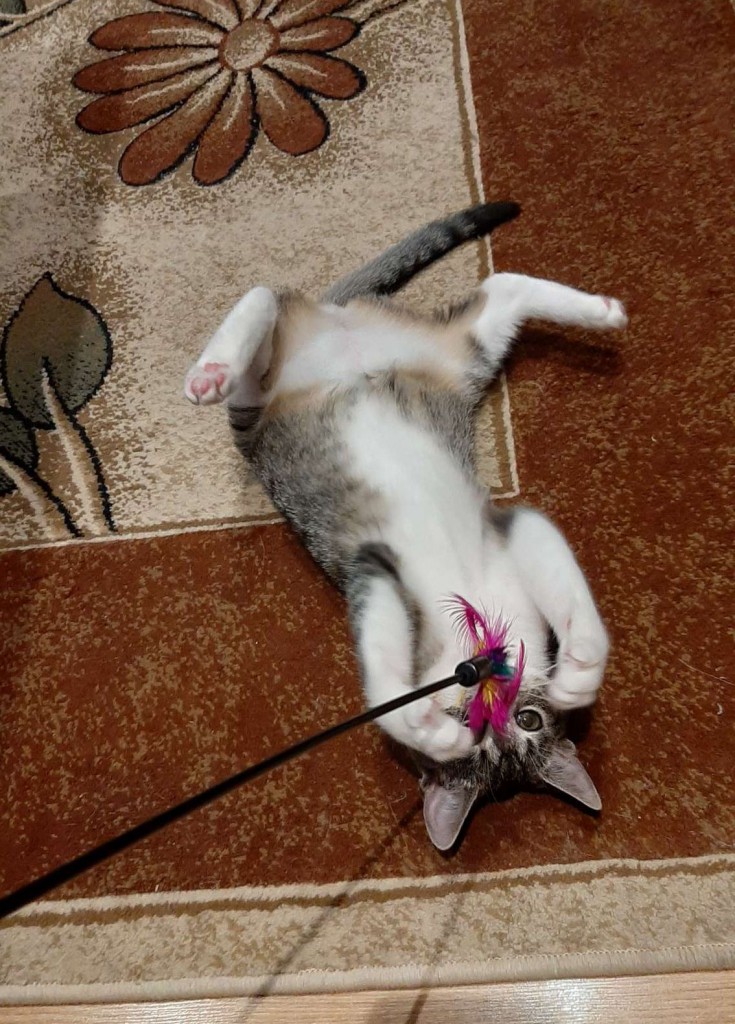 Adoptusie. Marcysia w domu :)