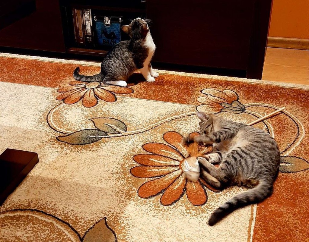 Adoptusie. Marcysia w domu :)