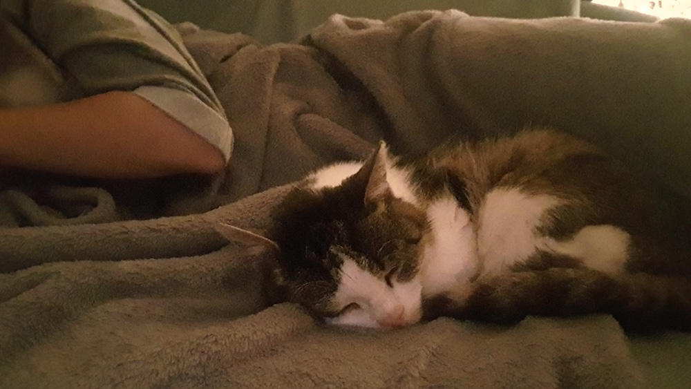 Adoptusie. Lila - adoptowana :)