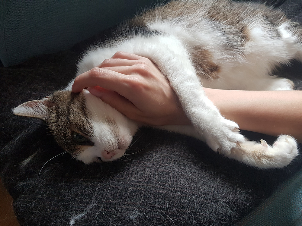Adoptusie. Lila - adoptowana :)