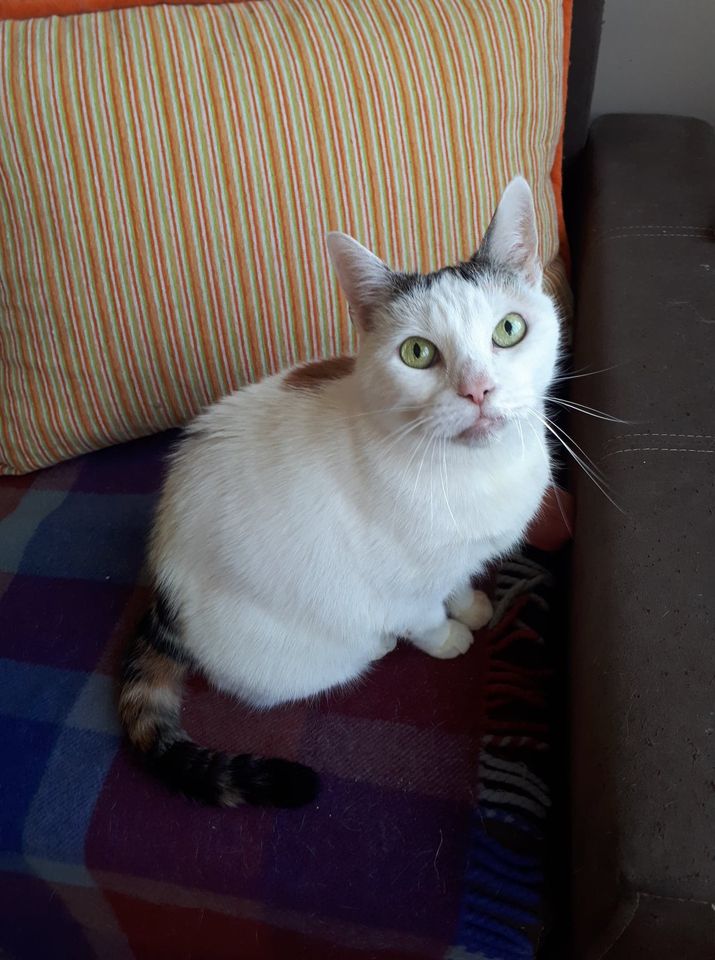 Adoptusie. Sobótka. W domu :)