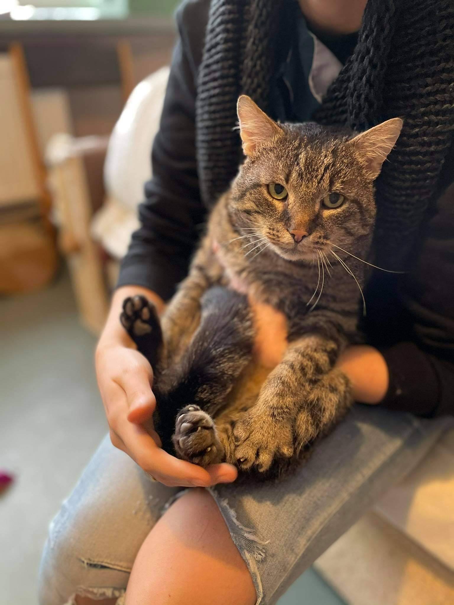 Aleksander - adoptowany :)