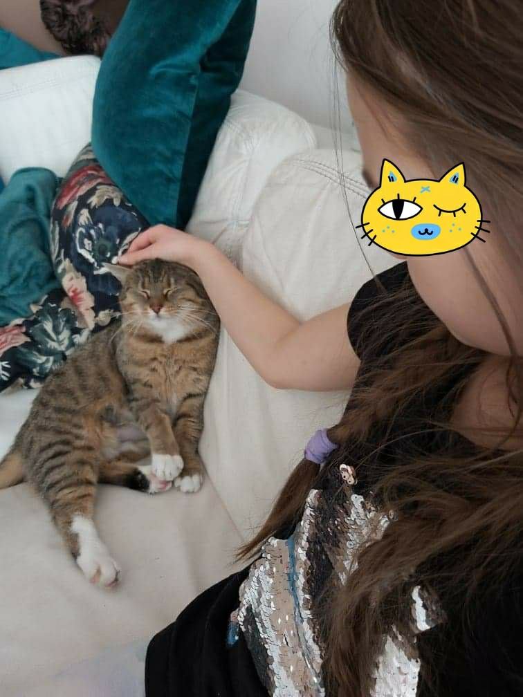 Piękna Lucy - już w domu :)