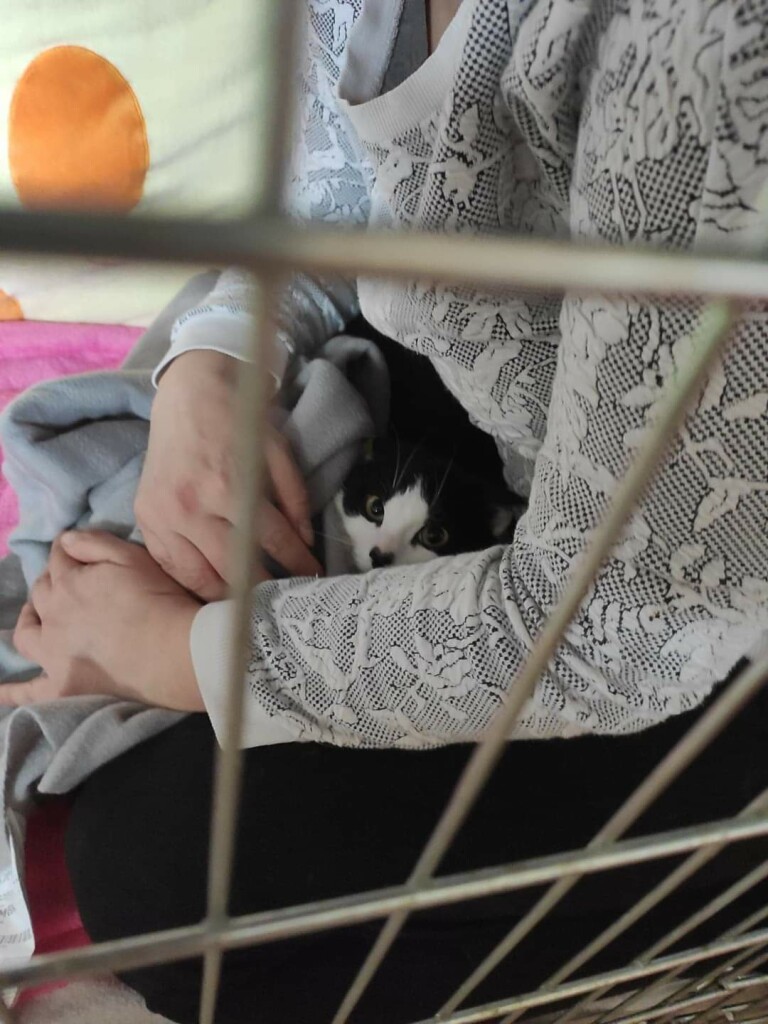 Tytanka - bo cuda się zdarzają