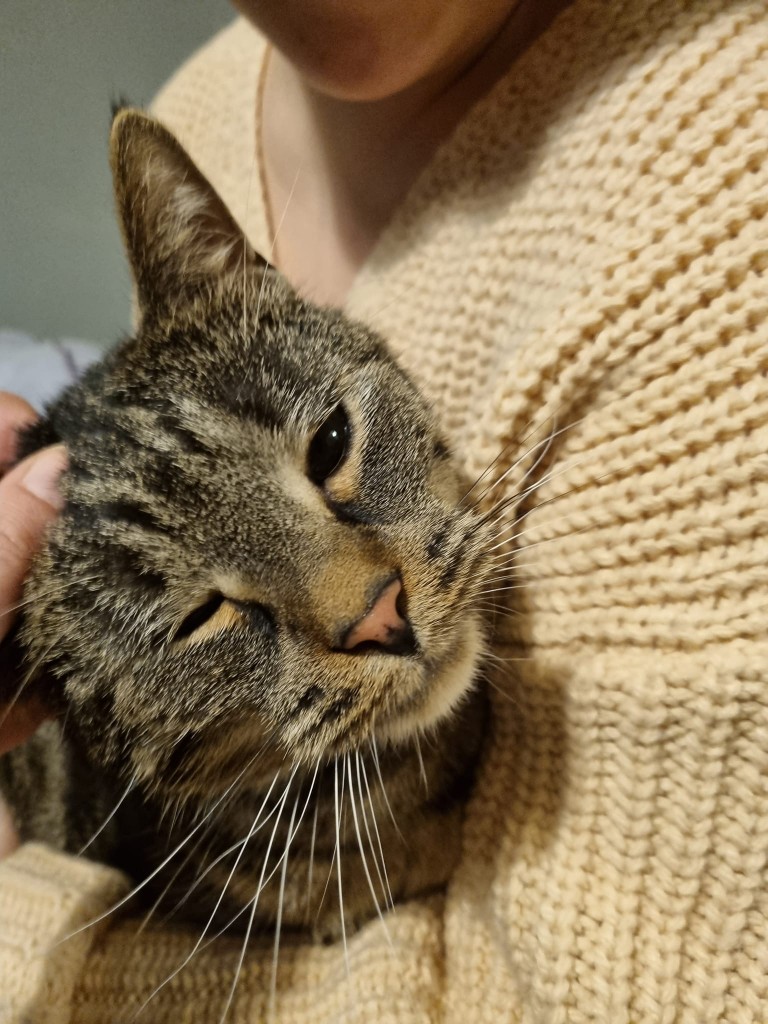 Adoptusie. Czaruś - w domu :)