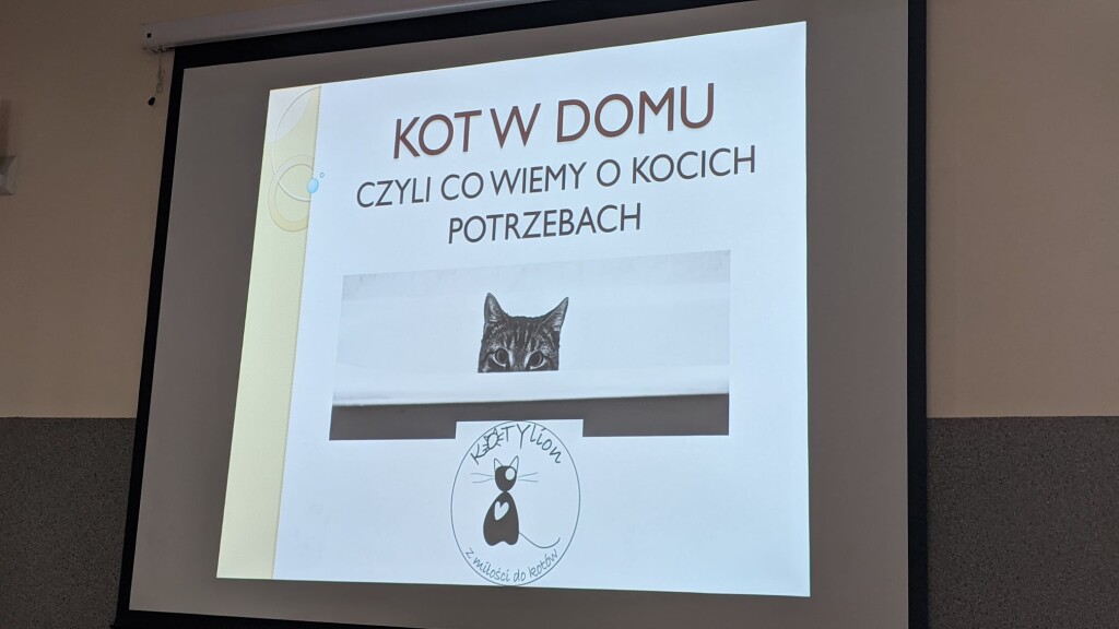 KOTYlion oprócz pomocy kotom, przekazuje wiedzę!