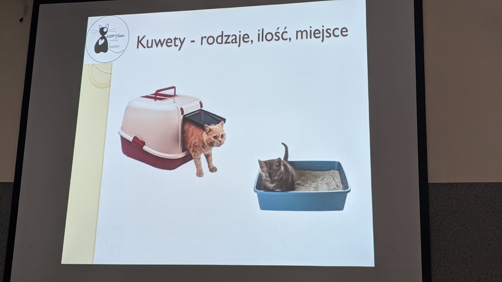 KOTYlion oprócz pomocy kotom, przekazuje wiedzę!