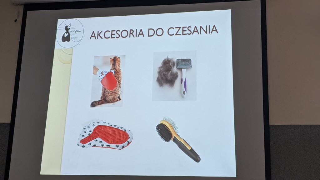 KOTYlion oprócz pomocy kotom, przekazuje wiedzę!