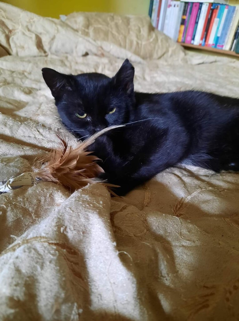 Ola - nasza wojowniczka po sanacji zębów